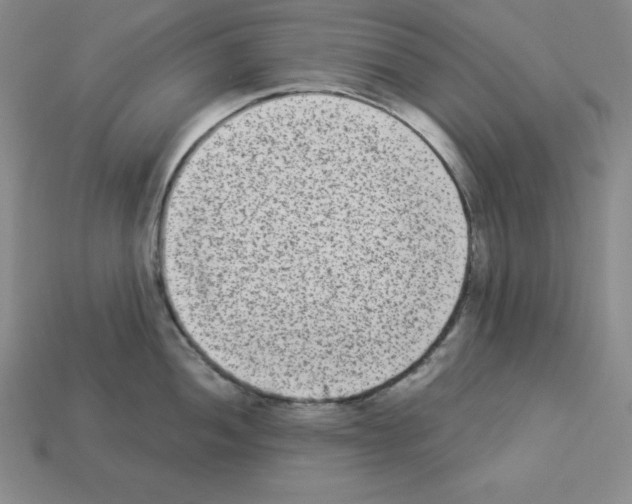 X0000112861052200910021308