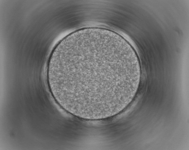 X0000112861053200910021308