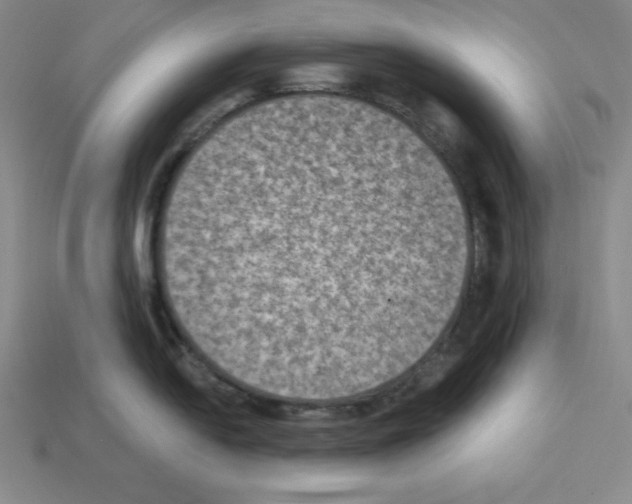 X0000112861054200910021308