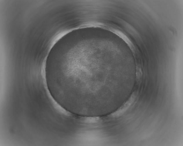 X0000112861055200910021308