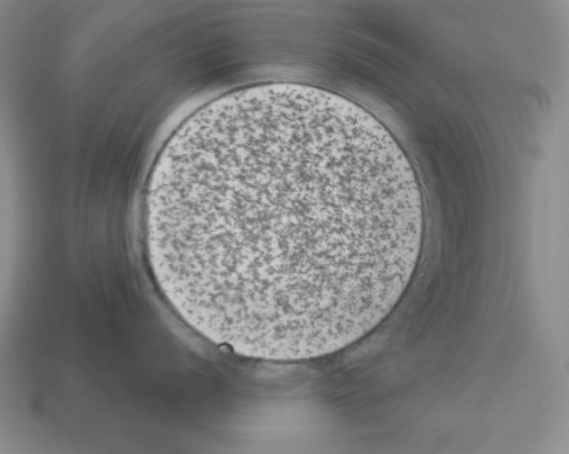 X0000112861056200910021308