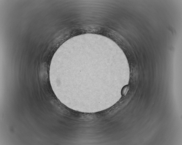 X0000112861058200910021307