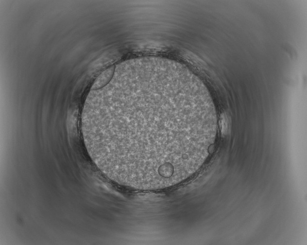 X0000112861059200910021307