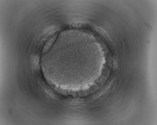 X0000112861060200910021307