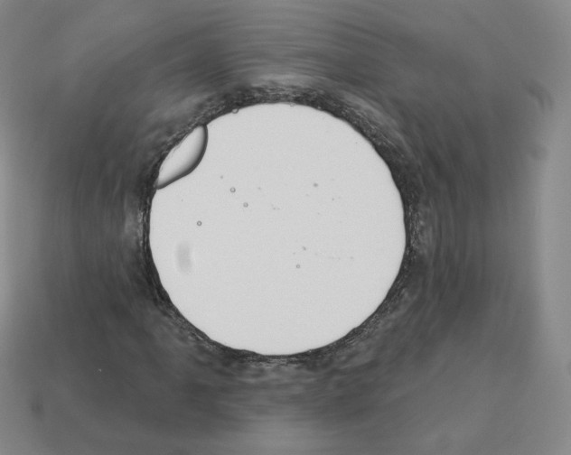 X0000112861061200910021307