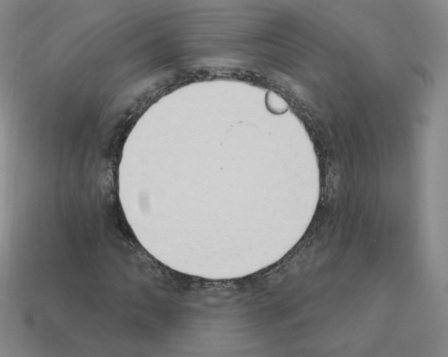 X0000112861062200910021307