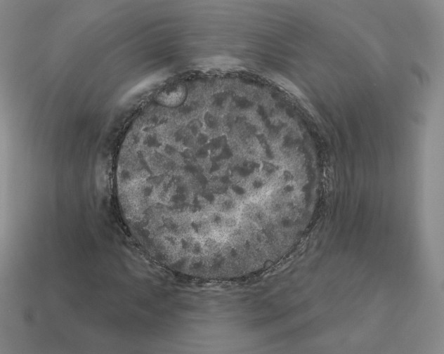 X0000112861063200910021307