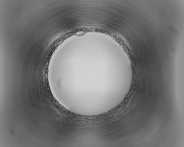 X0000112861064200910021307