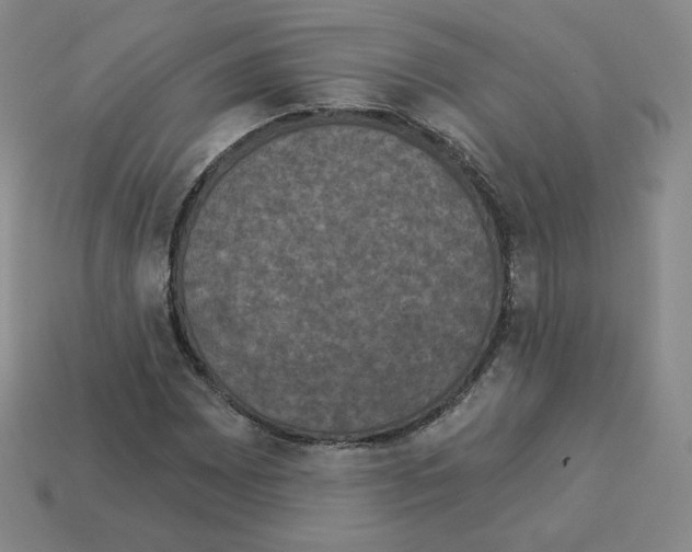 X0000112861065200910021307