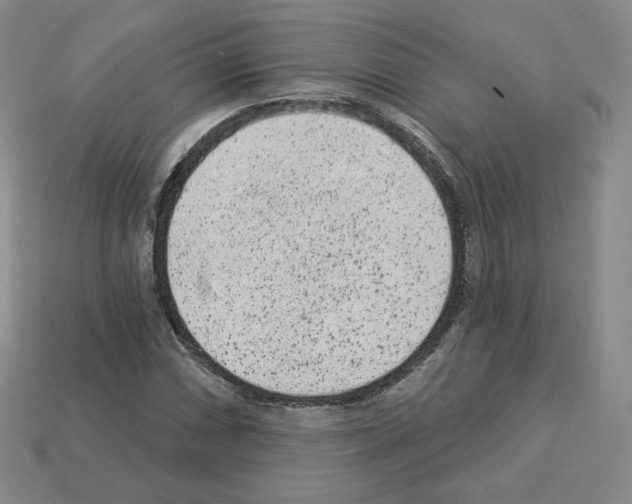 X0000112861066200910021307