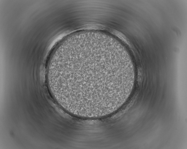 X0000112861067200910021307