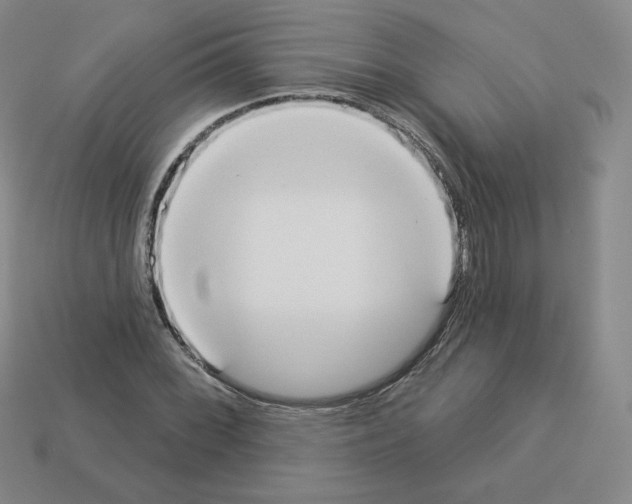 X0000112861068200910021307