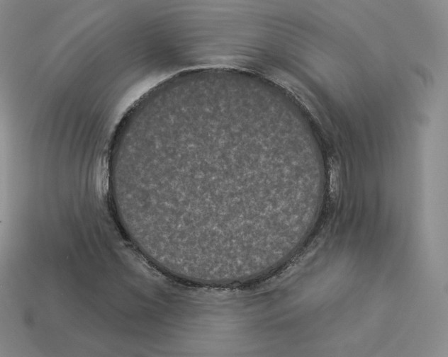 X0000112861069200910021307