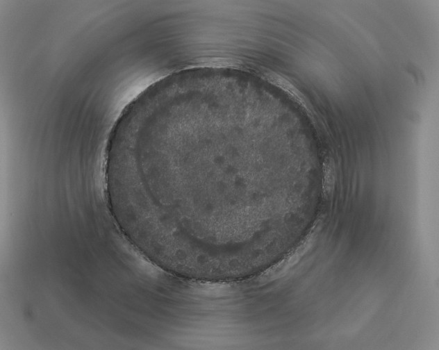 X0000112861071200910021307
