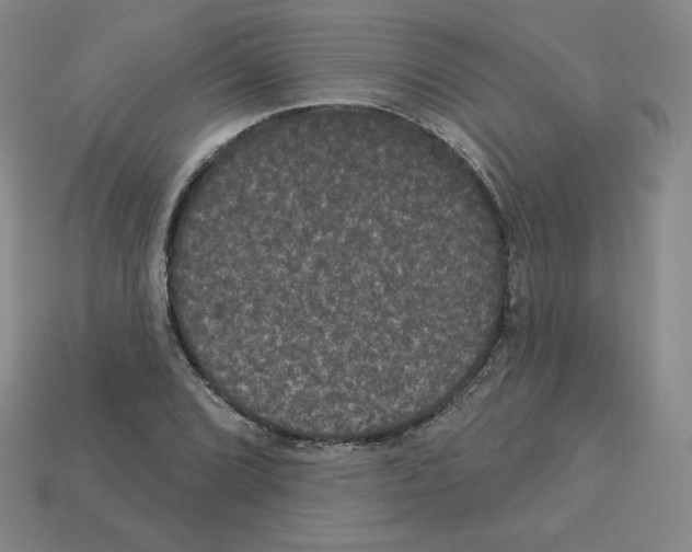 X0000112861072200910021307