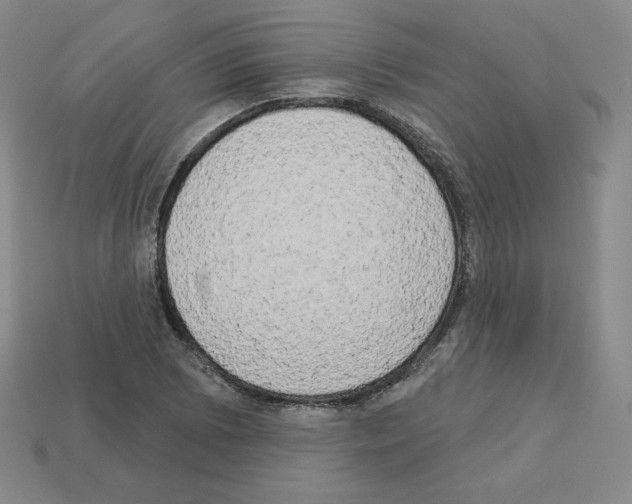 X0000112861073200910021307