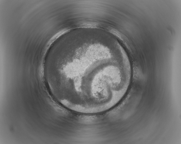 X0000112861074200910021307