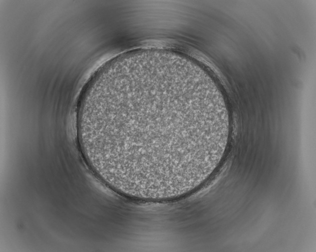 X0000112861075200910021307