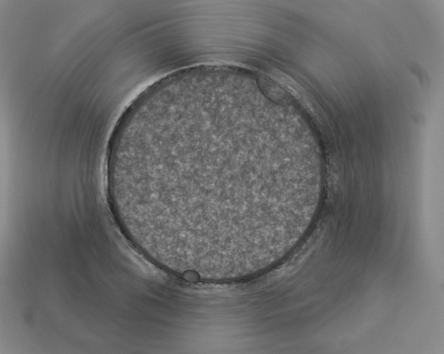 X0000112861076200910021307