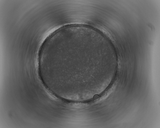X0000112861077200910021307