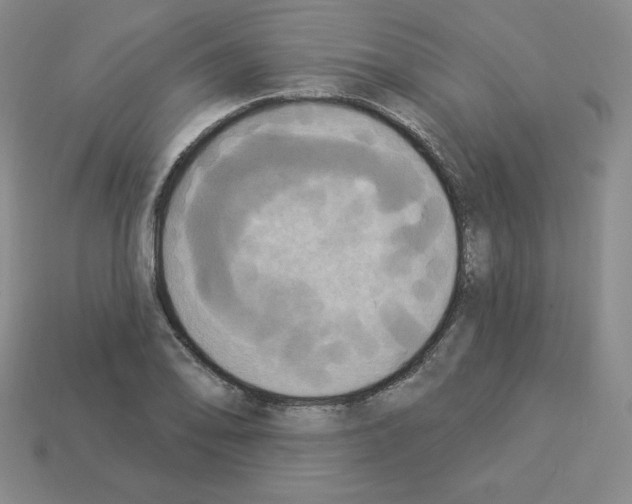 X0000112861078200910021307