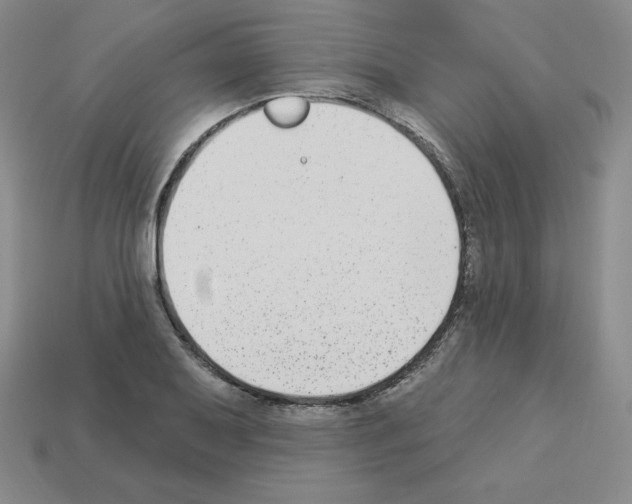 X0000112861079200910021307