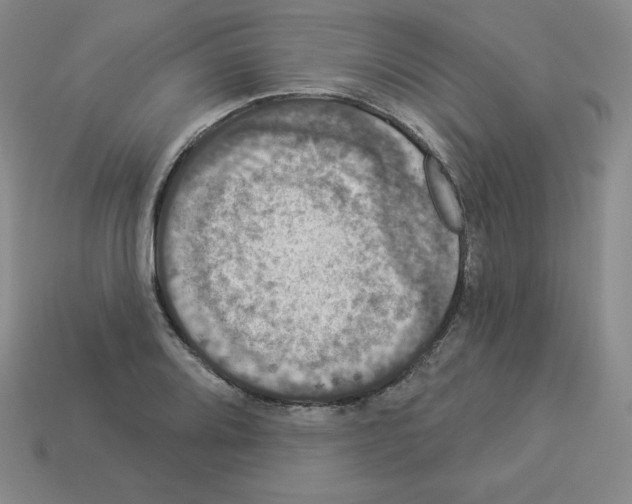 X0000112861080200910021307
