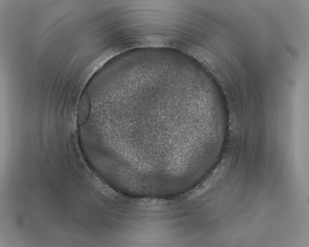 X0000112861081200910021307