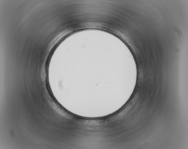 X0000112861082200910021307