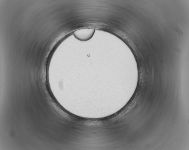 X0000112861083200910021307
