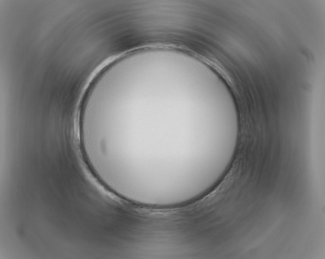 X0000112861084200910021307