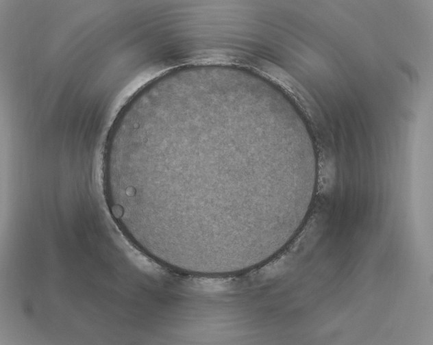 X0000112861086200910021307