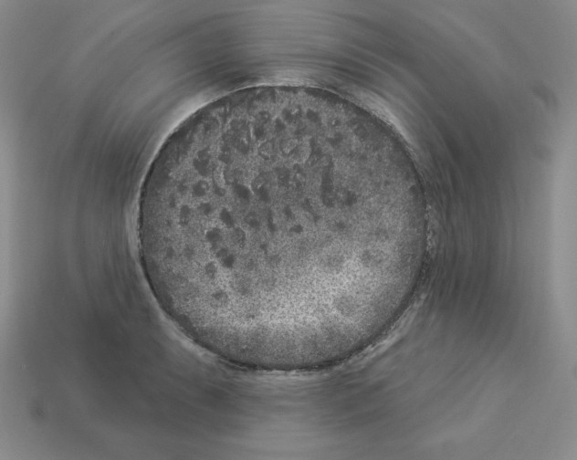 X0000112861087200910021307