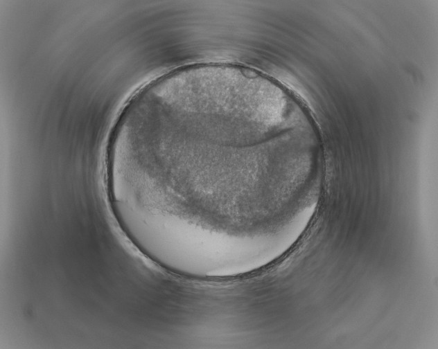 X0000112861088200910021307
