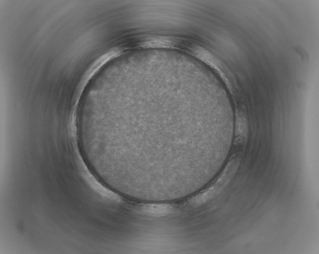 X0000112861090200910021307