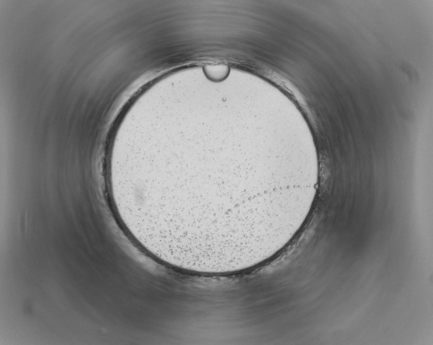 X0000112861091200910021307