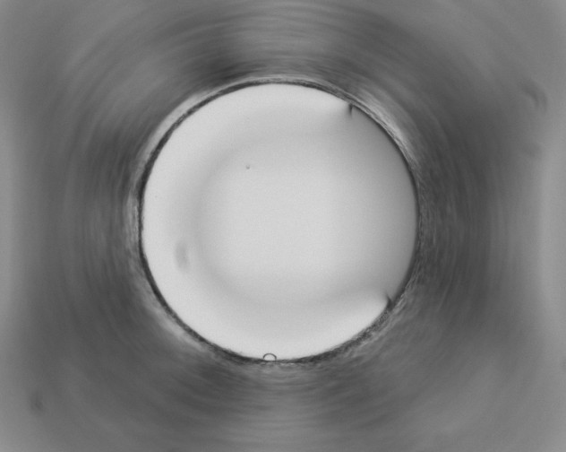 X0000112861092200910021307