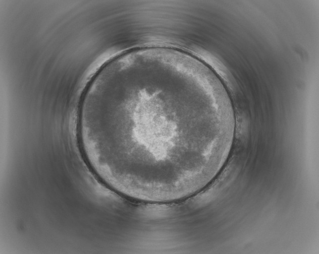 X0000112861094200910021307