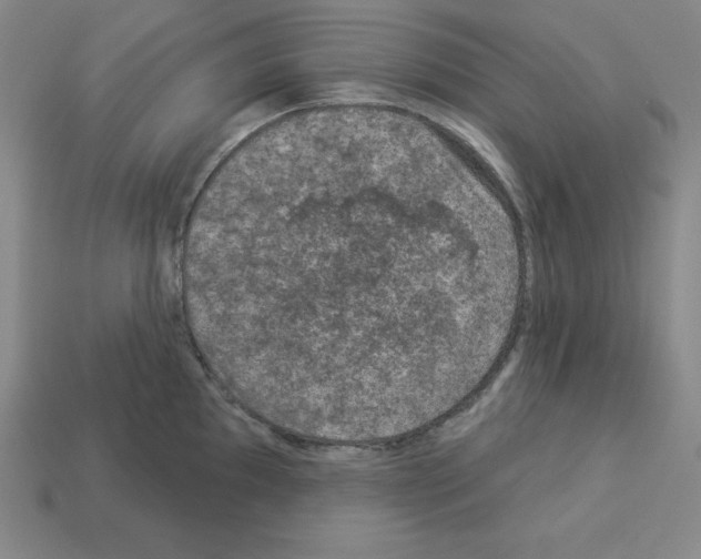 X0000112861097200910021306