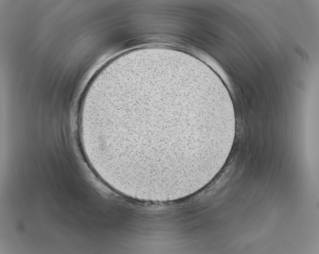 X0000112861099200910021306