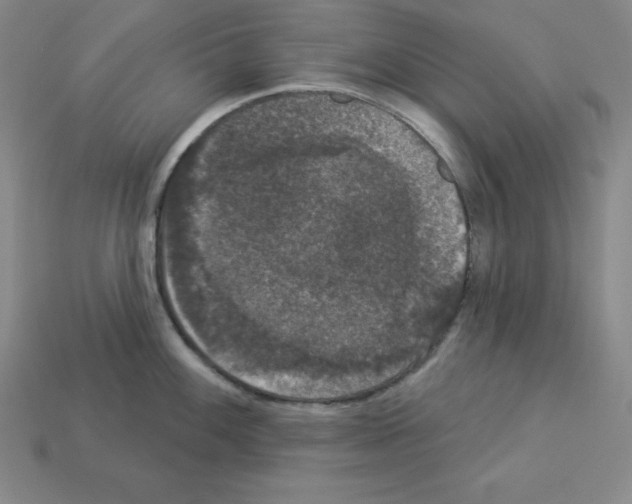X0000112861100200910021306