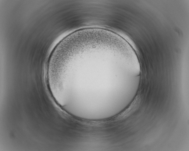 X0000112861101200910021306