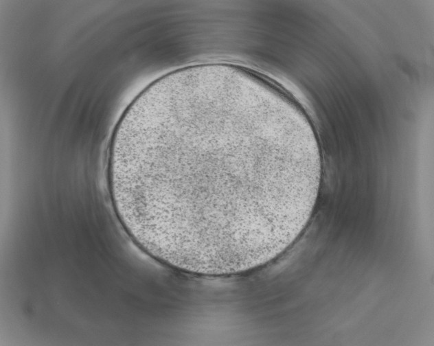 X0000112861102200910021306