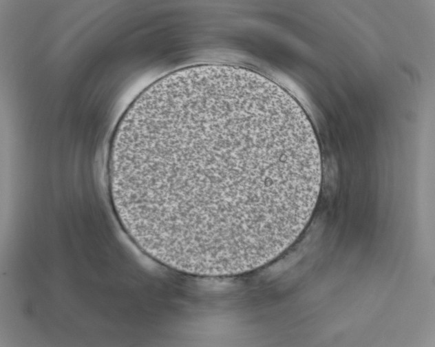 X0000112861103200910021306