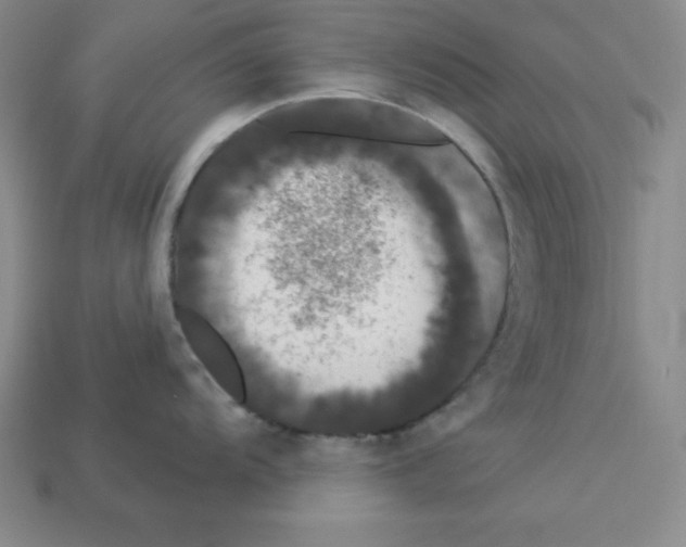 X0000112861104200910021306