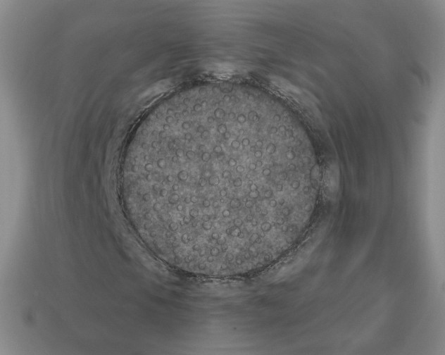 X0000112861105200910021306