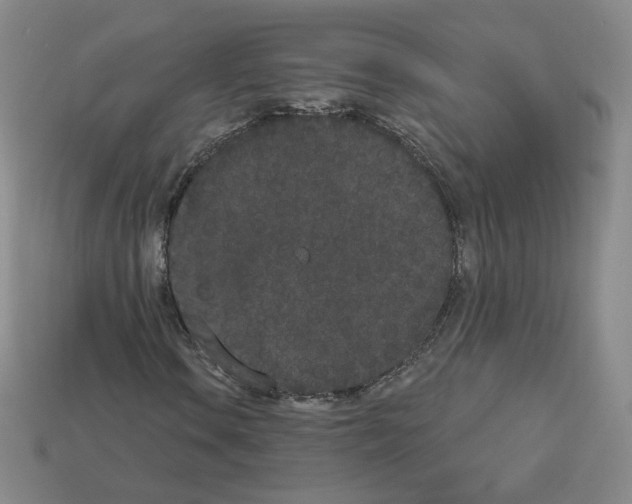 X0000112861106200910021306