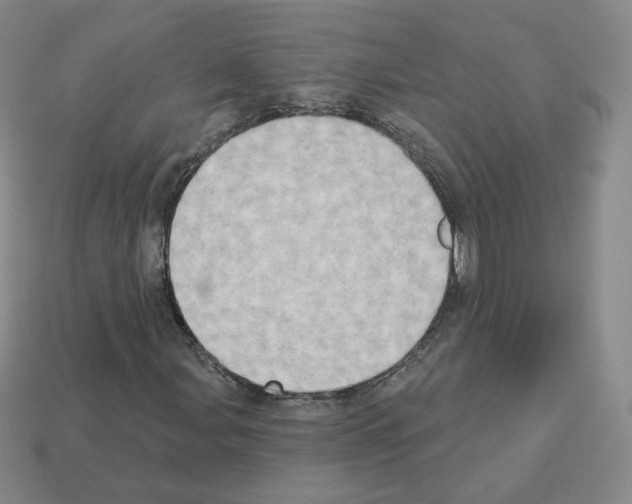 X0000112861107200910021306