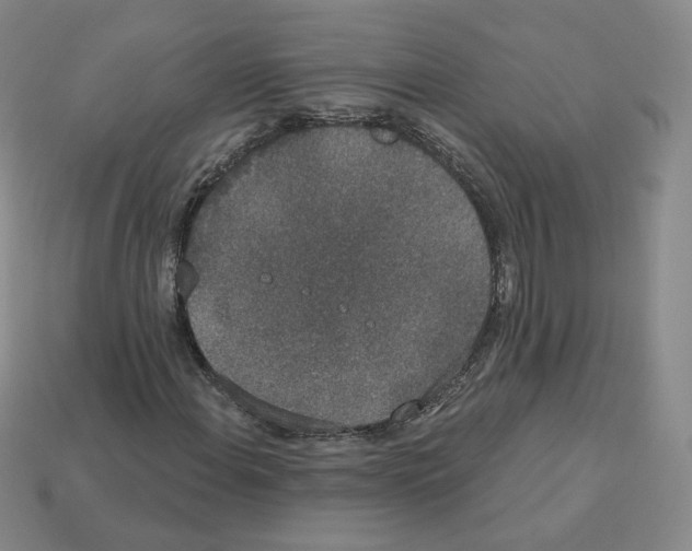 X0000112861108200910021306