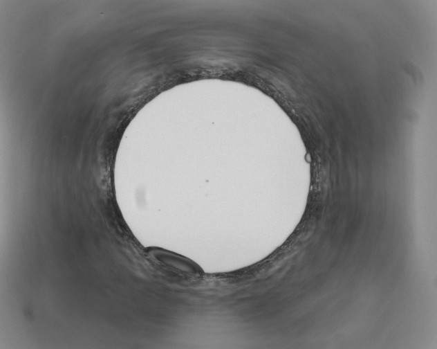 X0000112861109200910021306